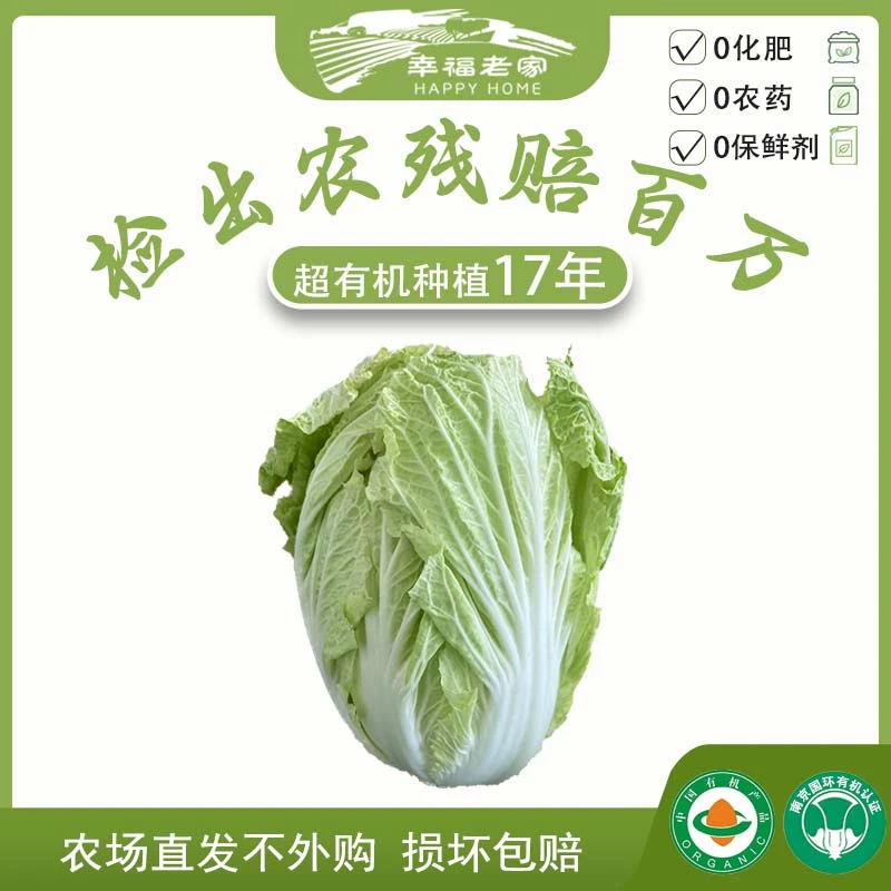 幸福老家百财祝福有机大白菜3-5棵 味道鲜美农场直发零农药零化肥