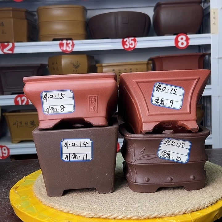 紫砂花盆蛇年大吉