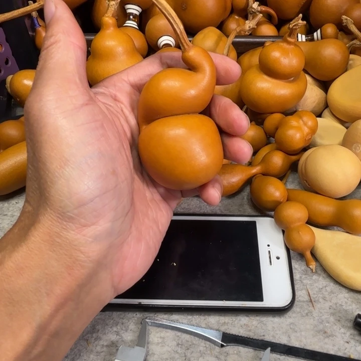 林***林零零零的一把像鼻子一把像鼻子活着