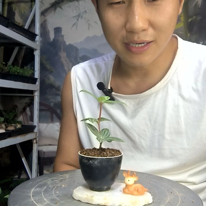 喊****n中青园艺一物一拍151