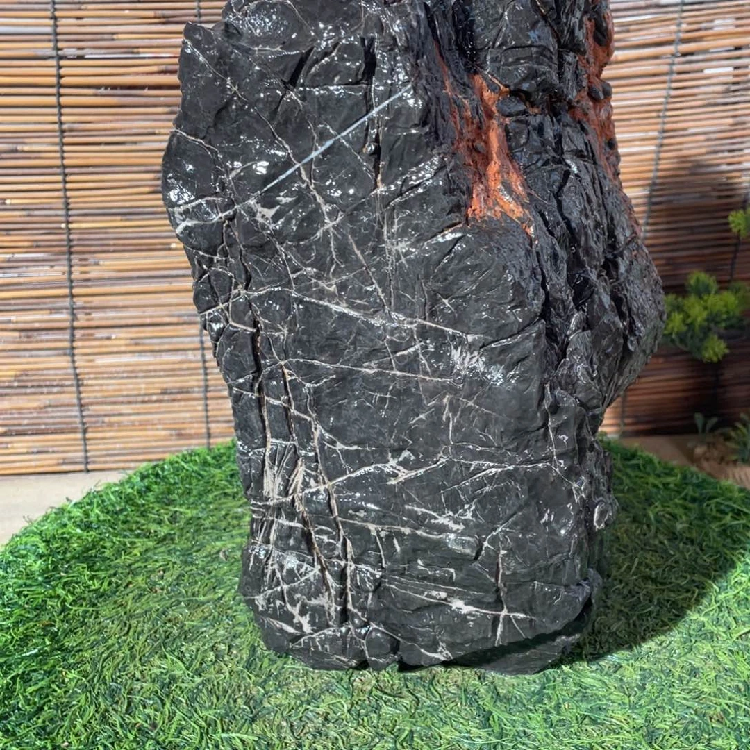 石头猫*生88888888888888888