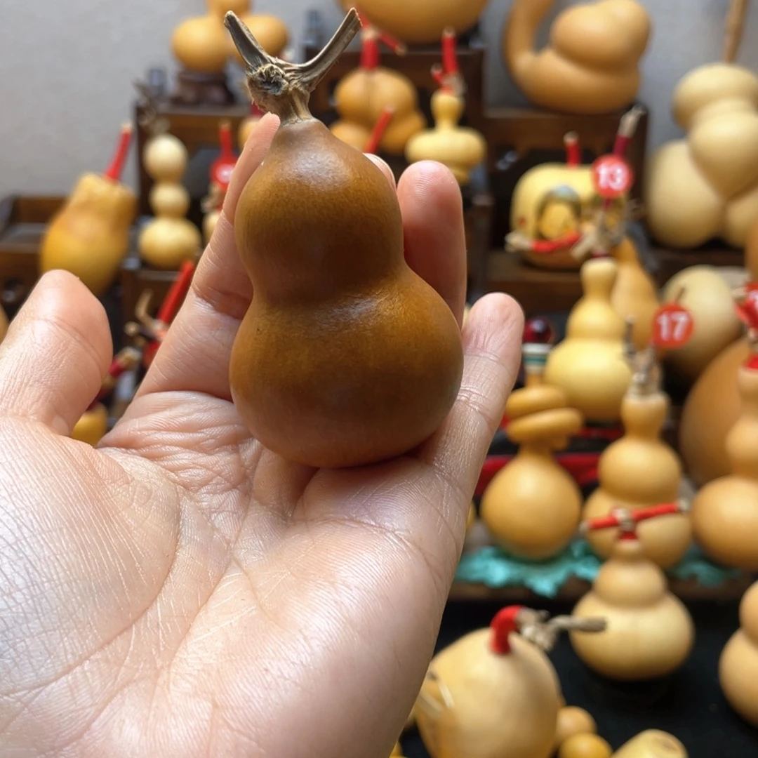 ᑋ****大自然的秘密第十一课你是什么