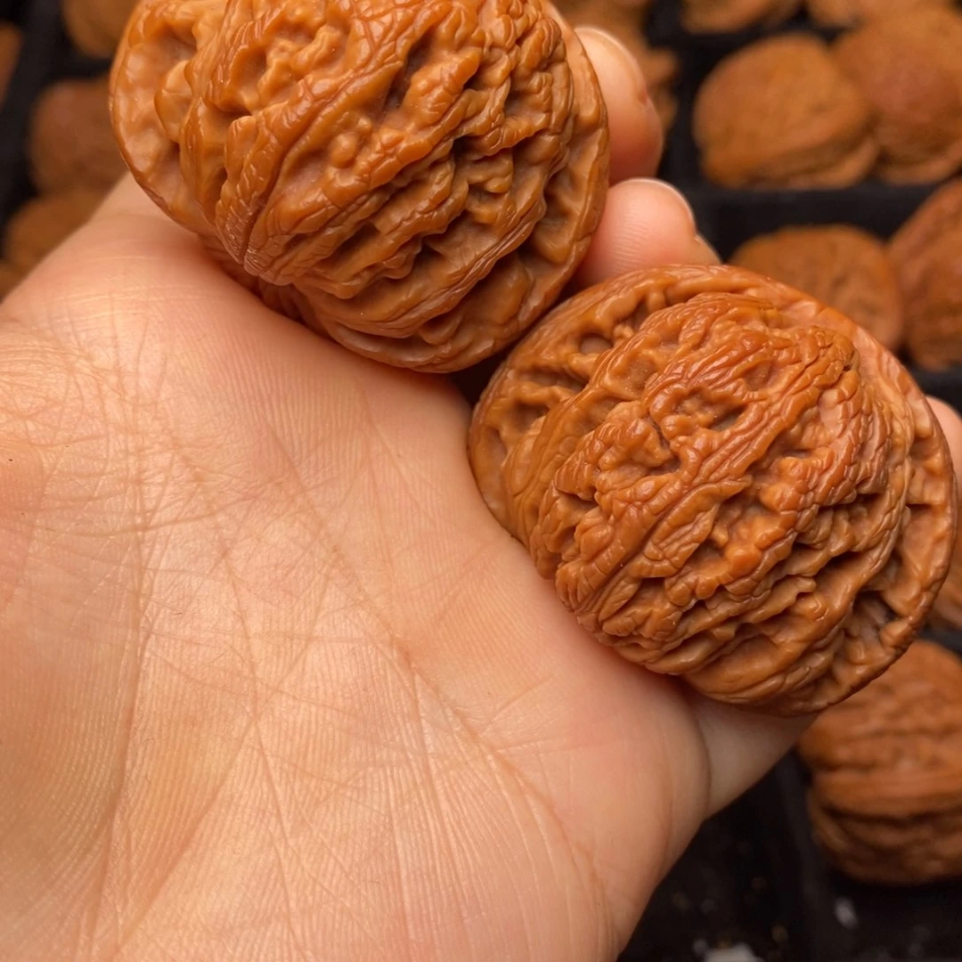 秦岭野生文玩核桃