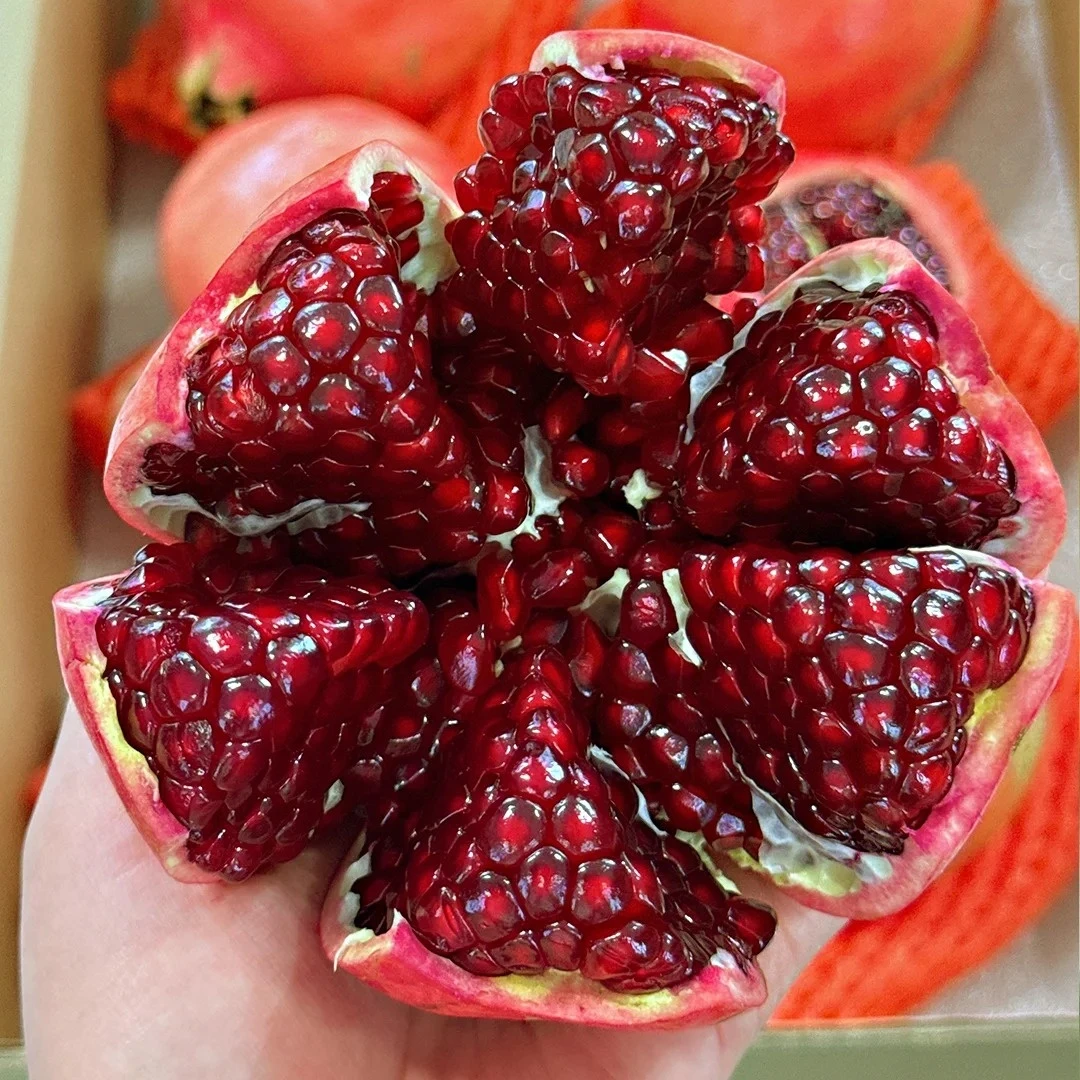 D新鲜突尼斯软籽石榴四川大凉山会理软籽石榴新鲜采摘皮薄