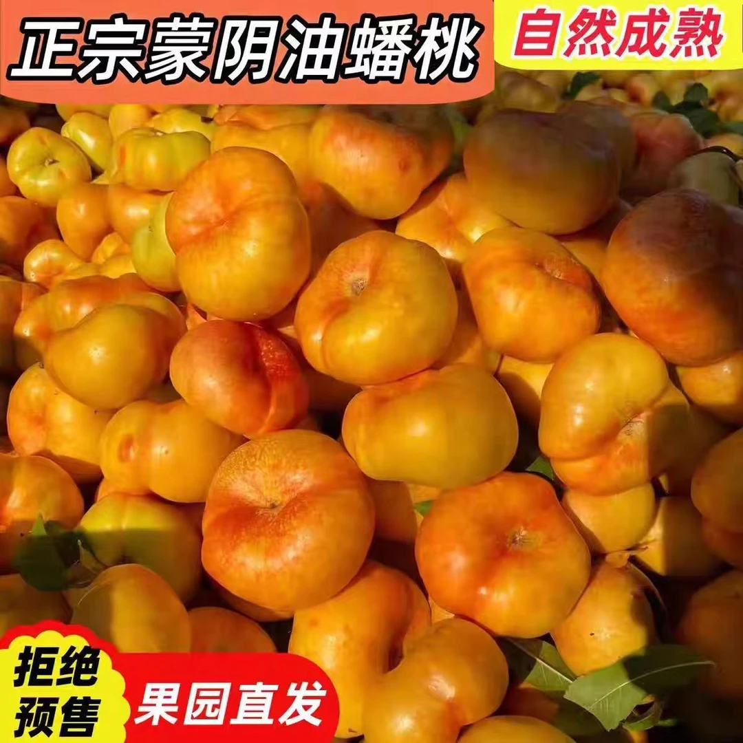 山东蒙阴彩虹油蟠桃新鲜应季水果甜嫩多汁皮薄现摘现发老人孕妇