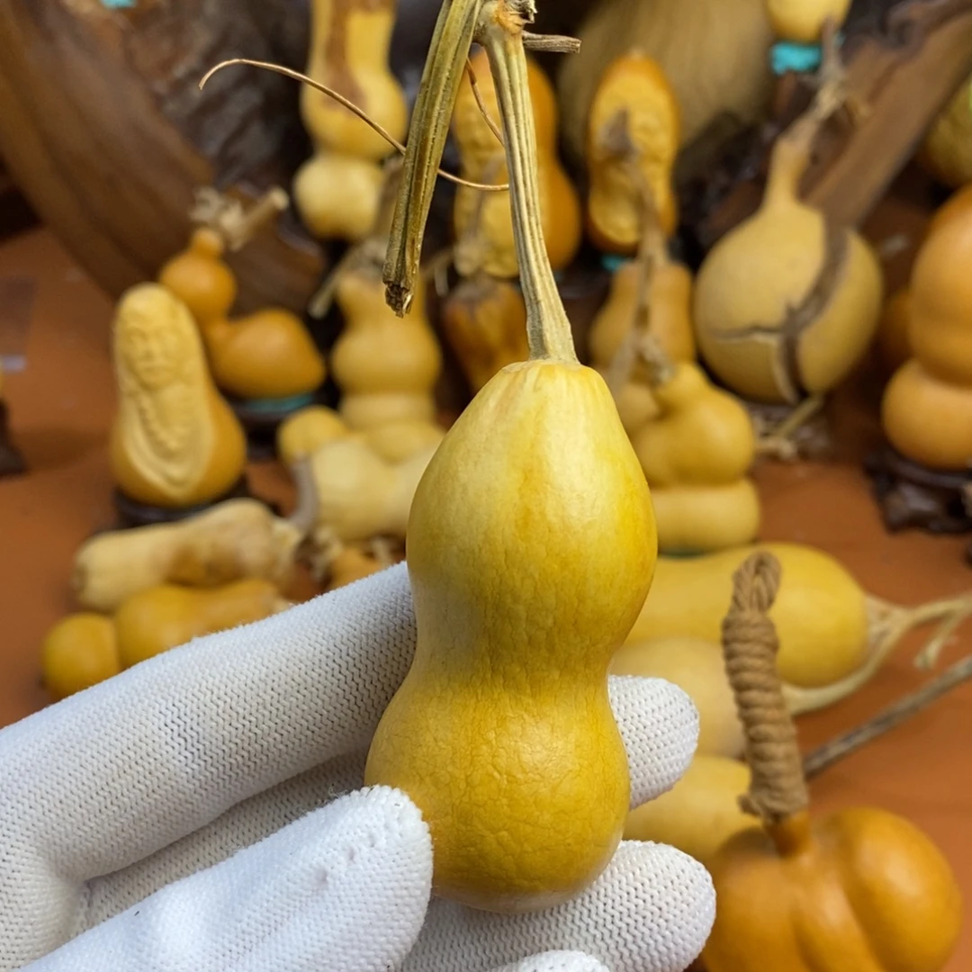 赵***天距离旅途教练咯教练咯