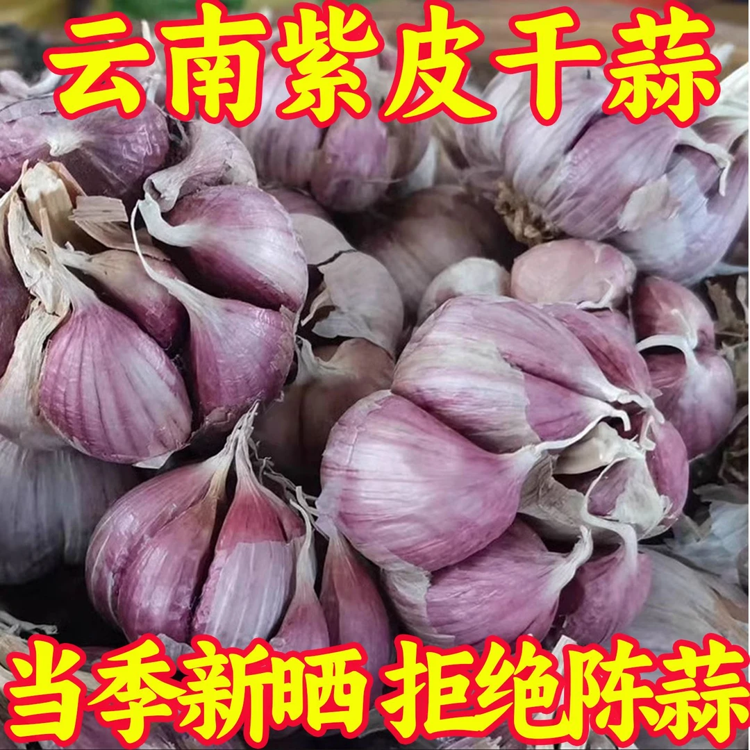 【新干蒜】J1老品种 云南紫皮蒜 蒜头 香蒜 调料 辛辣 红蒜
