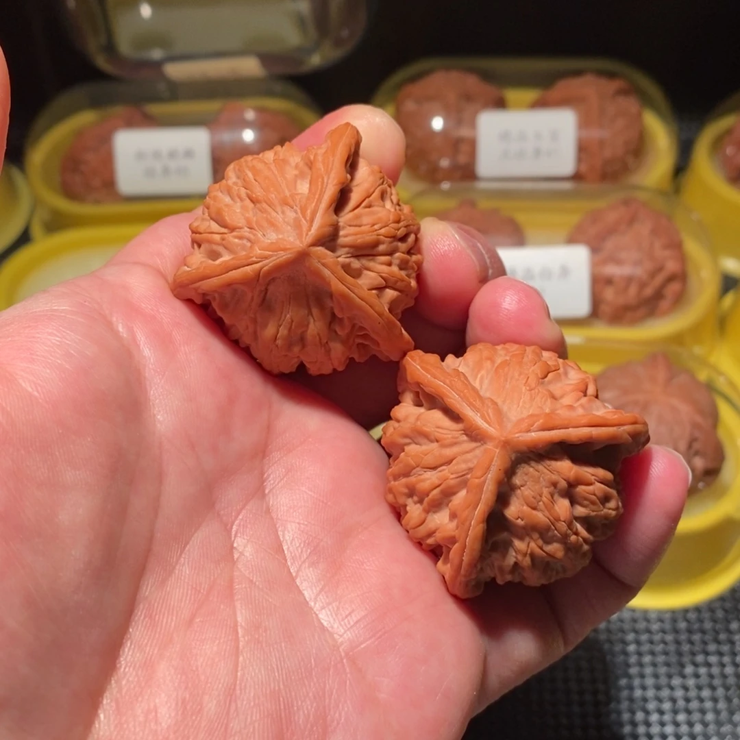 41极品糖三角正球奔精品对