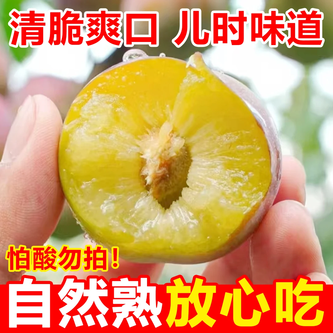 正宗青脆脱骨李子应季新鲜水果青脆酸甜脱骨李冰糖李整箱