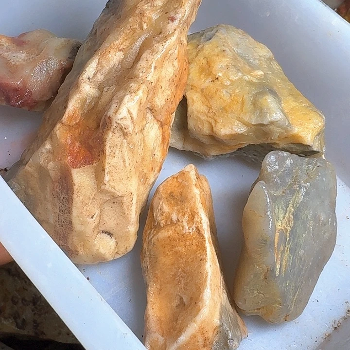 呆***鼠寿山石寿山石的种类