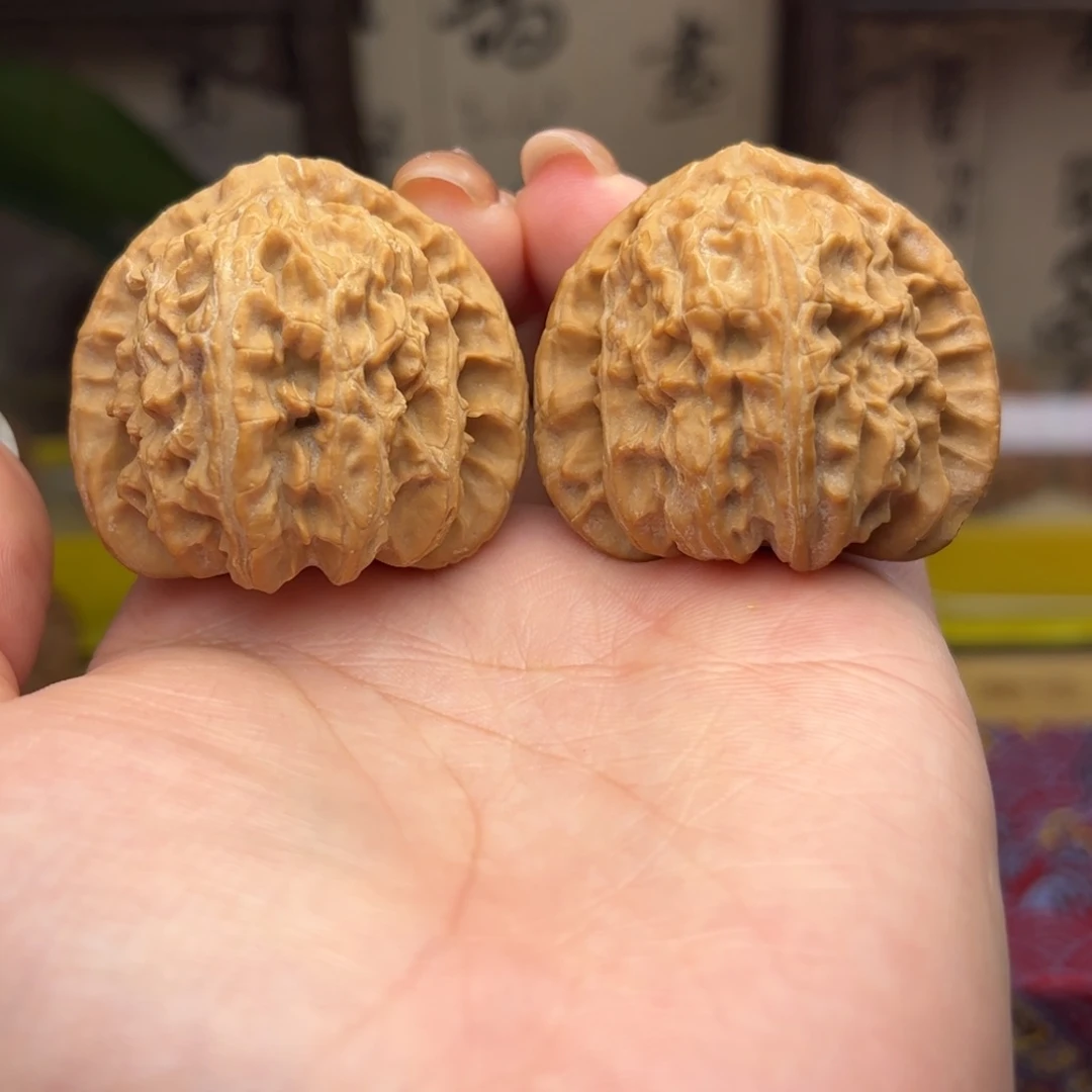 江***钓白狮子头四十一尺