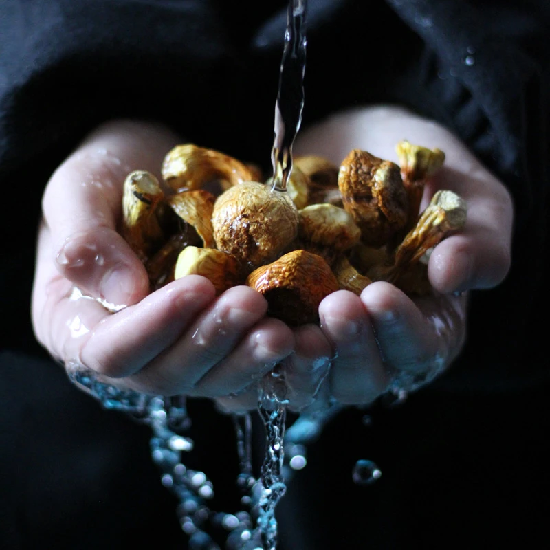 吉发 姬松茸无硫