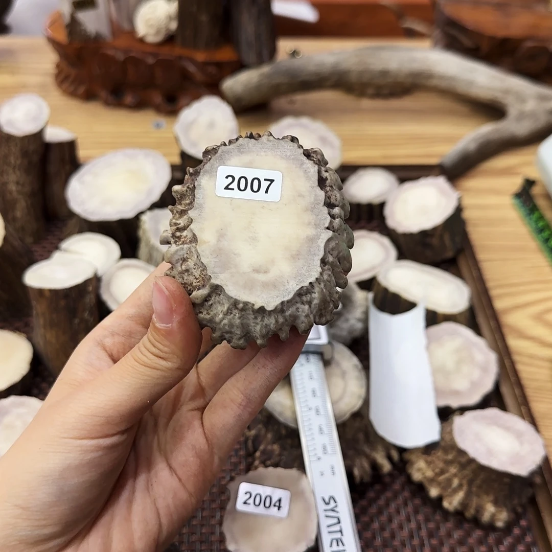 鹿骨手串/手链2007角帽