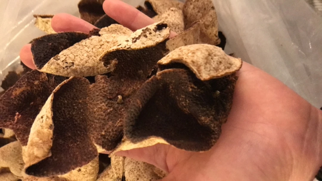 广西浦北 2017年自存储 稍带虫眼 断片 大红陈皮（介意勿拍）