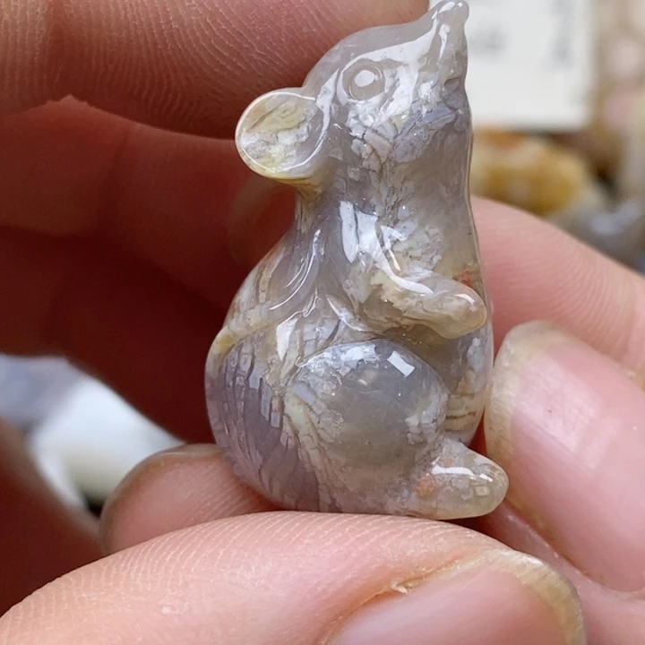 颈饰未镶嵌硅化珊瑚（珊瑚玉）