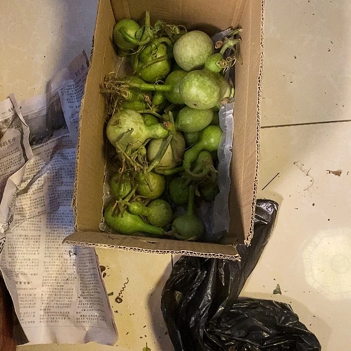 小***光独霸葫芦手把件练手