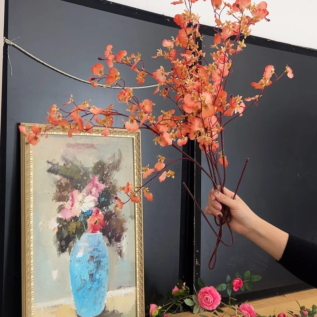 抖音直播福利四只