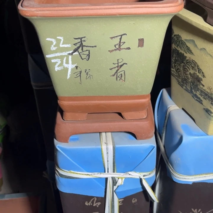 花盆紫砂紫砂花盆