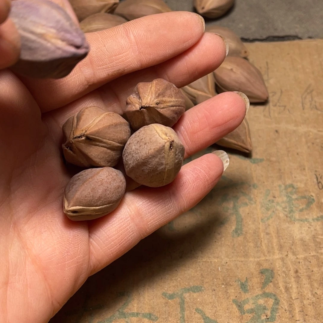 ~***8橄榄核手串/手链不退不换wergy