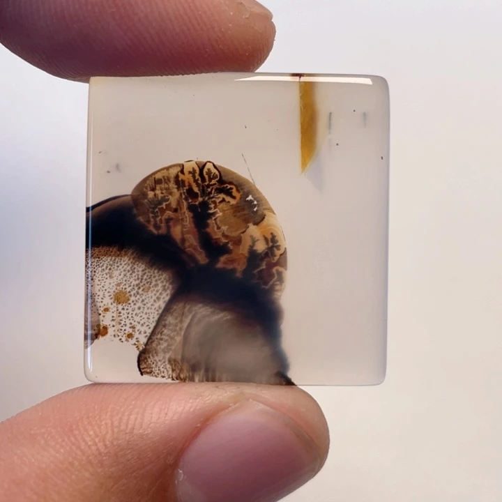 玛瑙/玉髓颈饰未镶嵌大*鹅