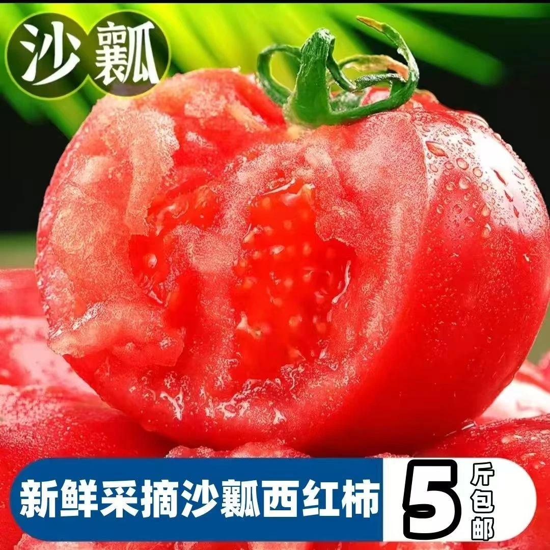 【沙瓤西红柿】生吃番茄红西红柿自然熟现摘当季果蔬新鲜农家自种