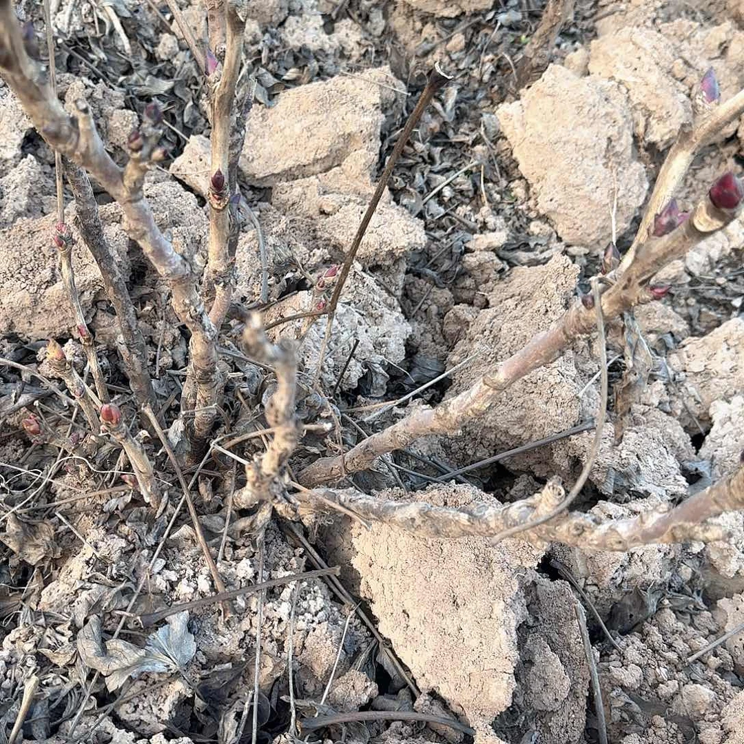 完全开放11111111111