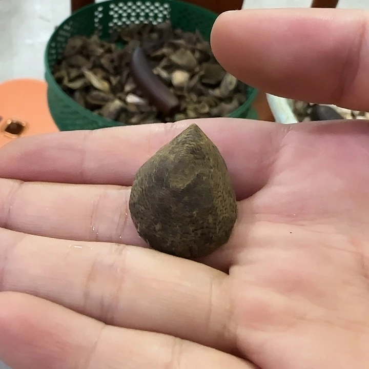 沉香碎屑沉香吉*树丁随型