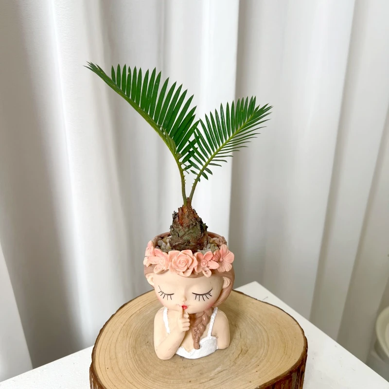 【喜室内外】北欧ins植物铁树苏铁宝宝办公室茶几书桌绿植盆栽客厅