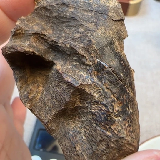 沉香摆件老海南沉水野生包头5.3克