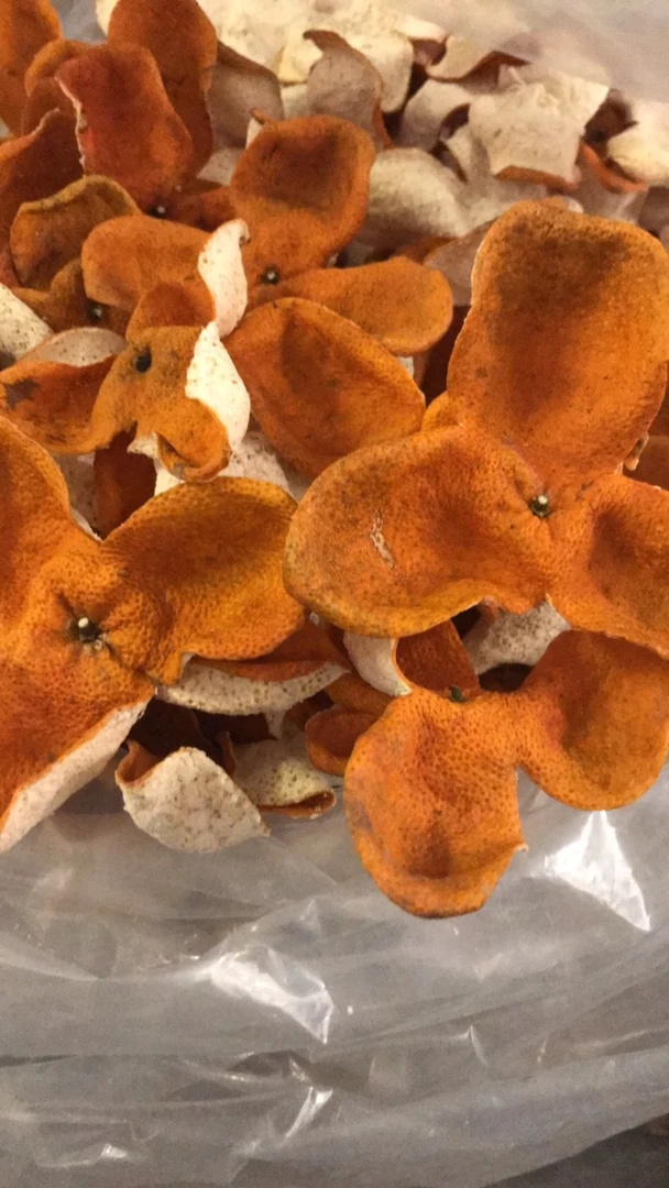 广西浦北 2025年1月采摘 全生晒 35年树龄 精选 冬后大红陈皮