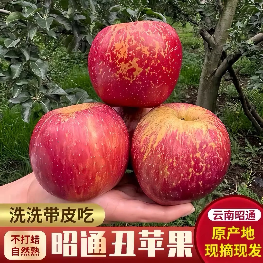 Y云南昭通冰糖心丑苹果新鲜现摘脆甜多汁当季水果