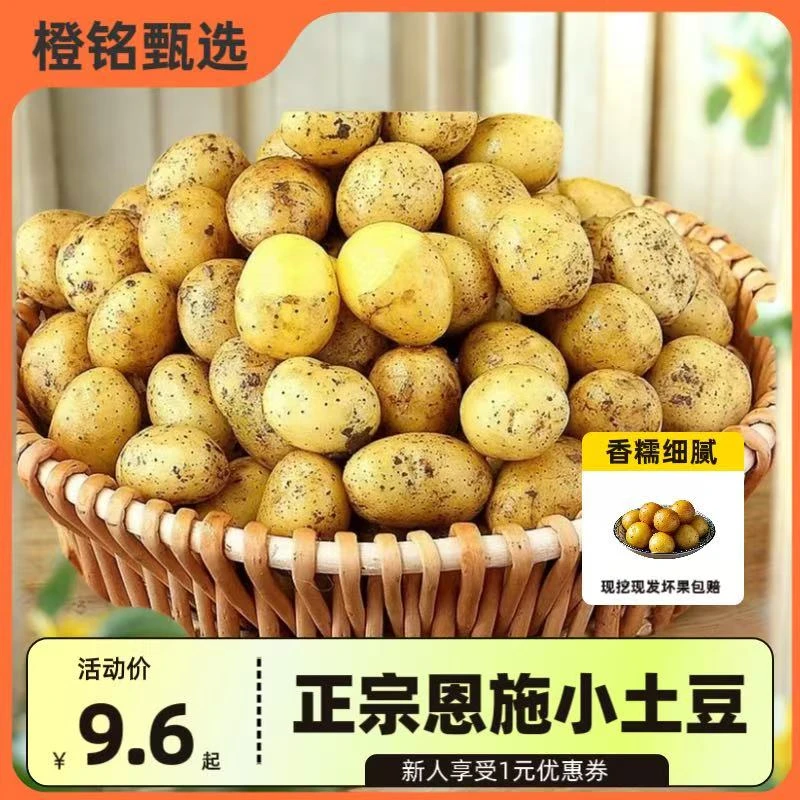 湖北正宗恩施富硒新鲜黄心土豆批自种洋芋马铃薯黄皮小土豆粉糯