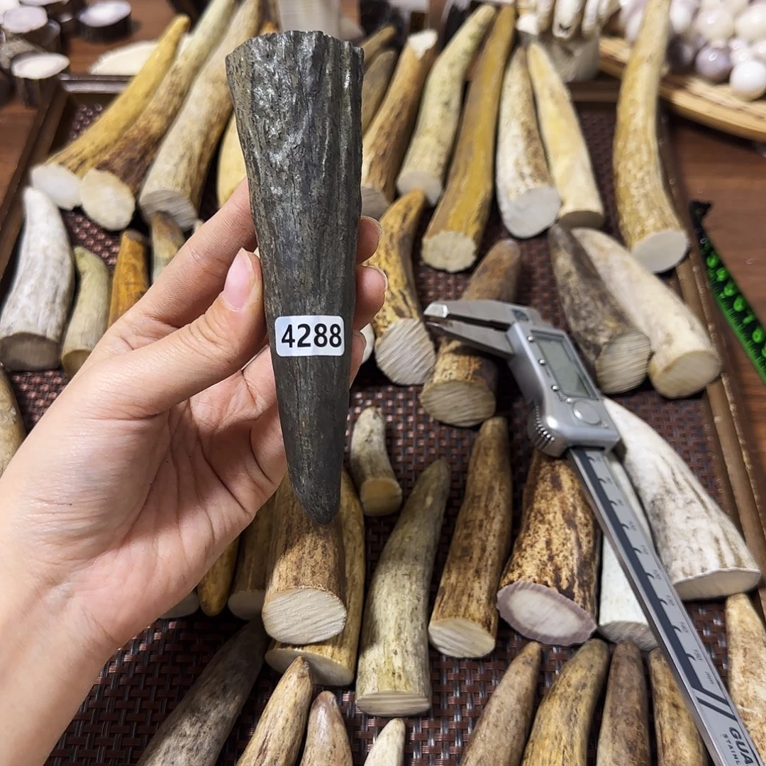 鹿骨手串/手链4288角尖