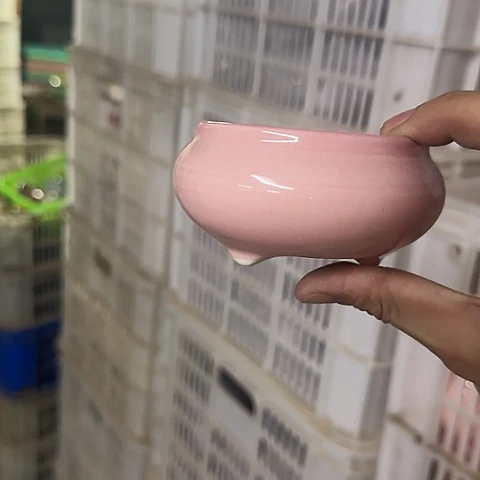 ····全是福利····