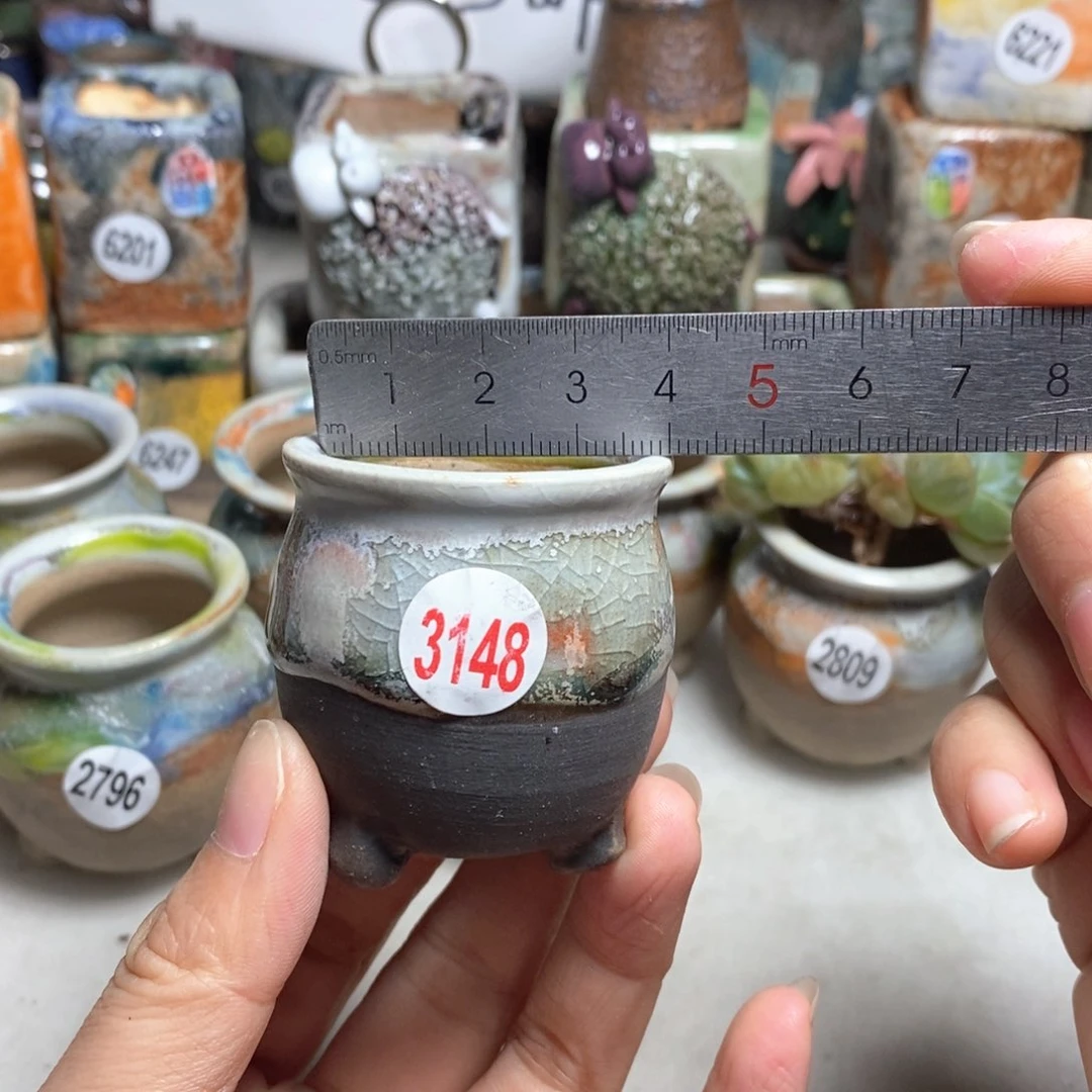 拍5送一个小礼物