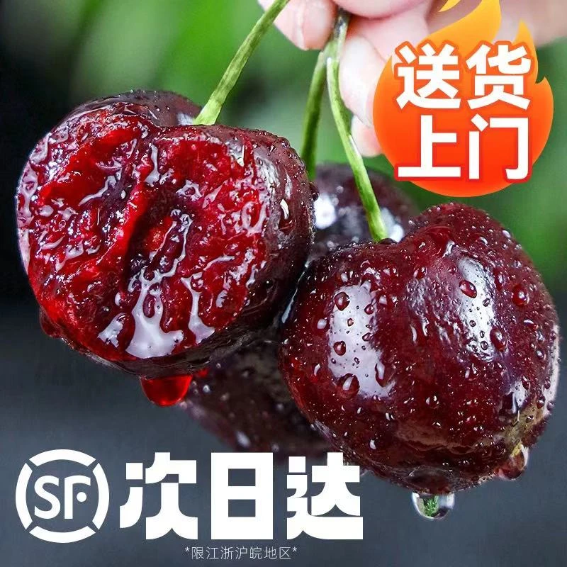 【JH专属】3JDD智利空运桑提娜SANTINA车厘子【次日达】内附果径卡5斤新鲜硬脆jh4桑提娜樱桃智利共和国