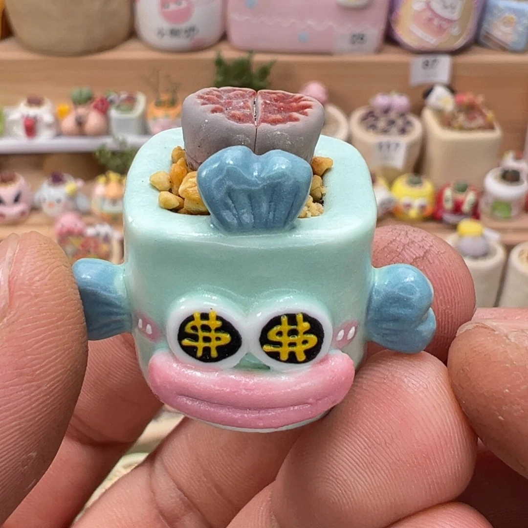 多肉植物实付9.9元包邮号7