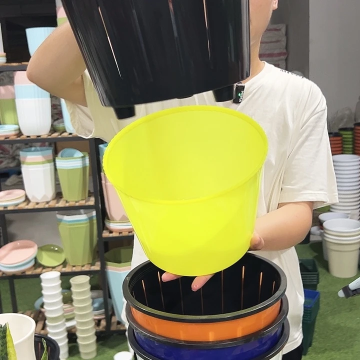 彩色自吸水口25高18混色内胆5只