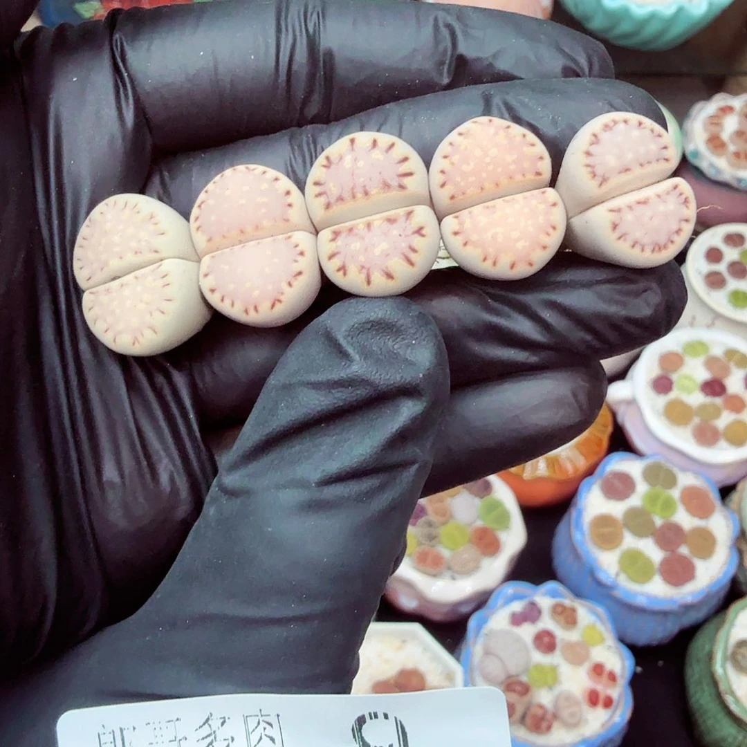 郎哥18包邮0610-9开播福利