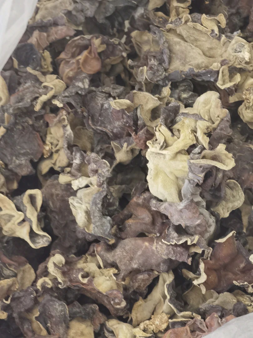 (小霞推荐) 湖南本地高山干木耳