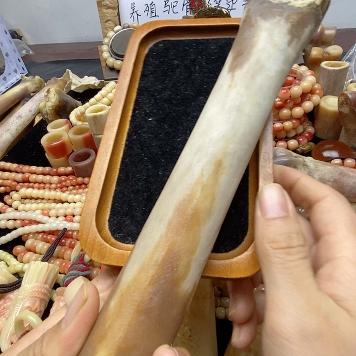 把件驼骨腿骨，手把