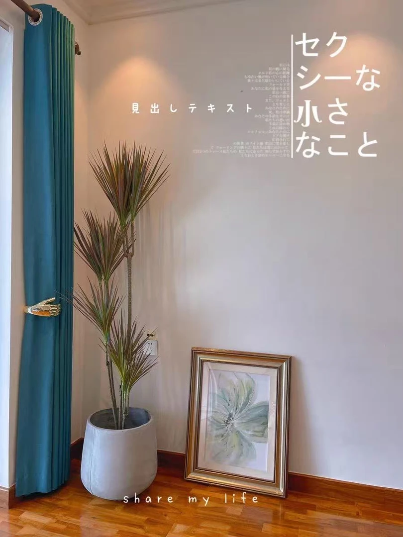 【七彩铁】千年木盆栽简单好成活新鲜植物除甲醛仅供直播间一物一拍