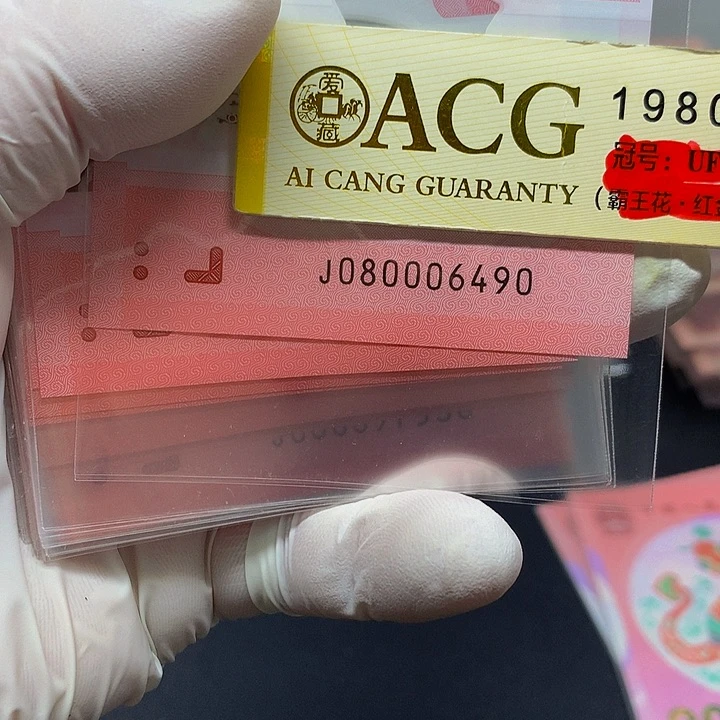 一张一张一张一张一张一张