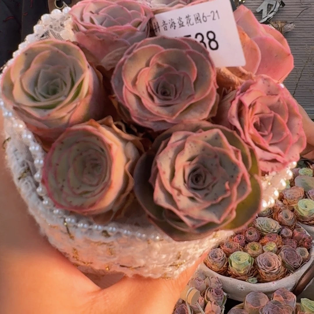 杨杨A538 小香风花束