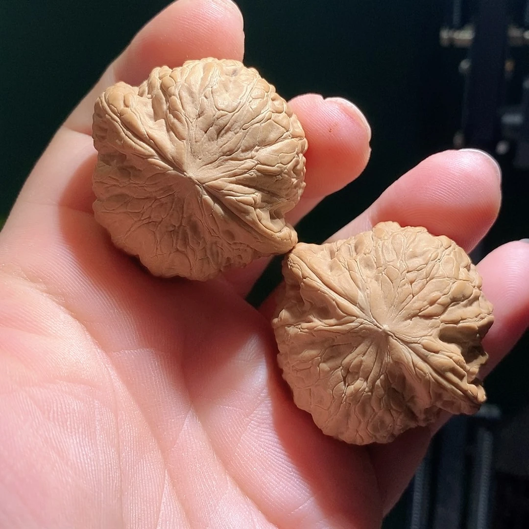 文玩核桃把件42铁锤全品