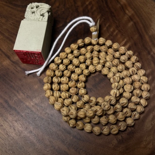 热振原装莲花红芽鬼