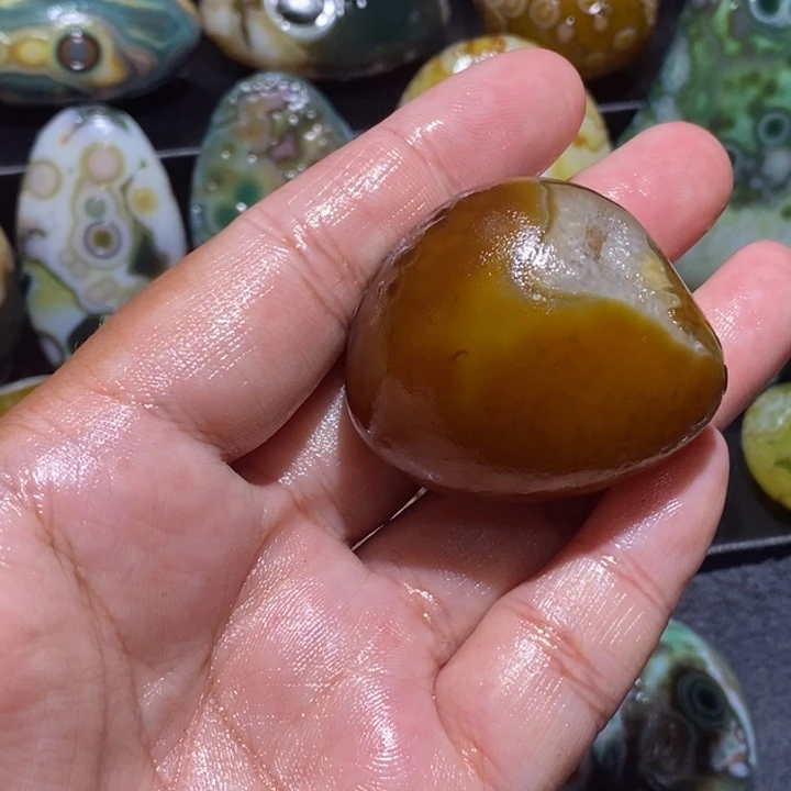 金***蛙玛瑙/玉髓未镶嵌珠宝半成品