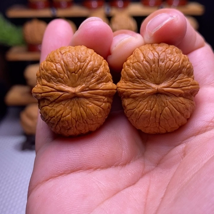 核桃云铁小金豆19号