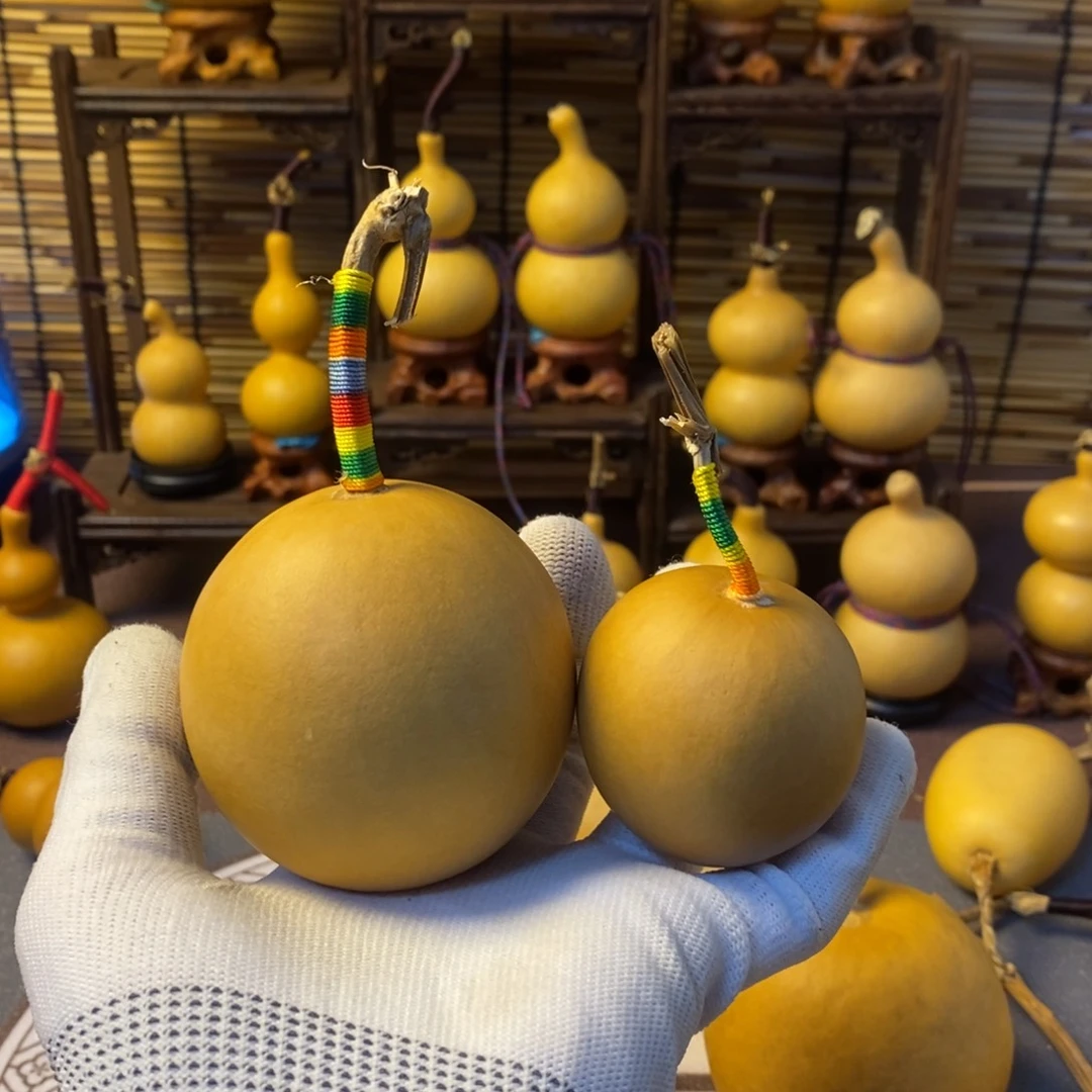 小***子有机玻璃一物一拍