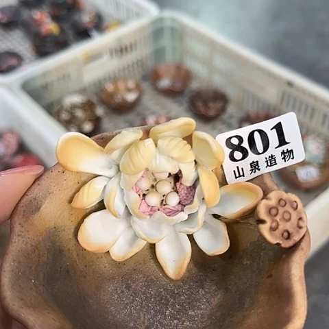 瓷片柴烧柴烧柴烧801